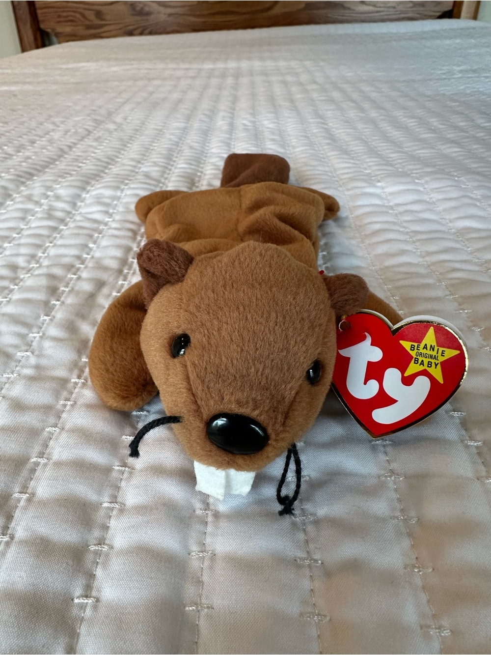 Bucky the Beaver Beanie Baby 4016